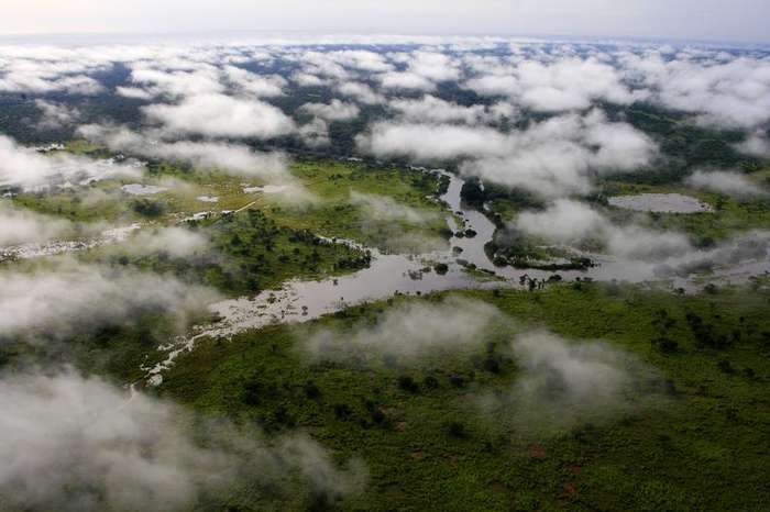 0319　THE SOUTHERN AFRICAN ENVIRONMENT A network to understand the changing socio‐ecology of the